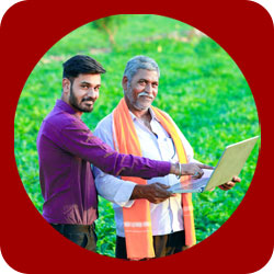 कृषी विभाग प्रशासन