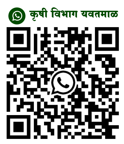 Whats App QR Code